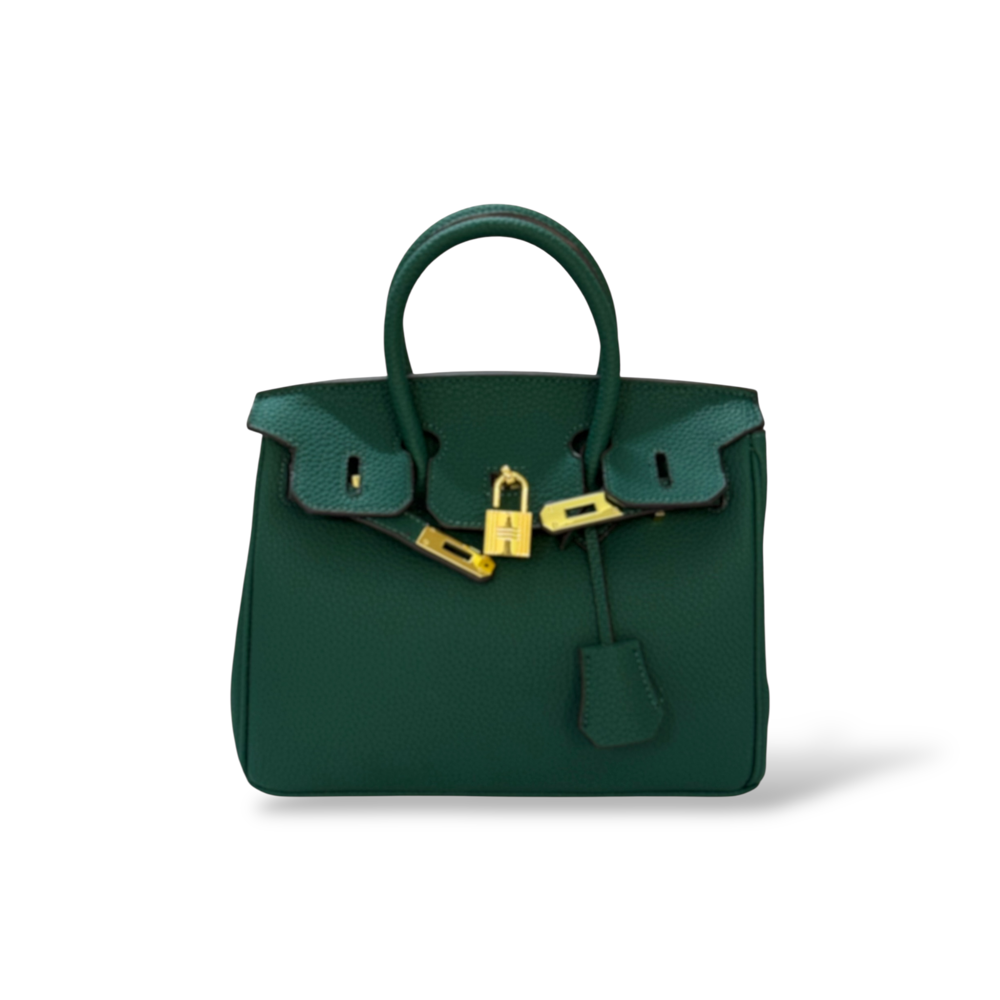 BIRKIN 25cm